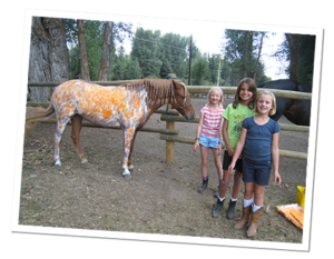Painted Horse - Teton Outdoor Adventures- Camp TOA