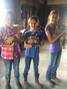 The kids holding kittens - Camp TOA - Teton Outdoor Adventures in Tetonia, Idaho