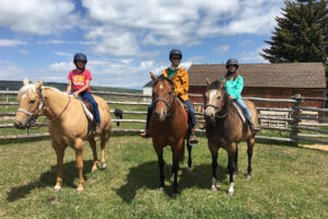 Sunshine, Jewel, and Vegas